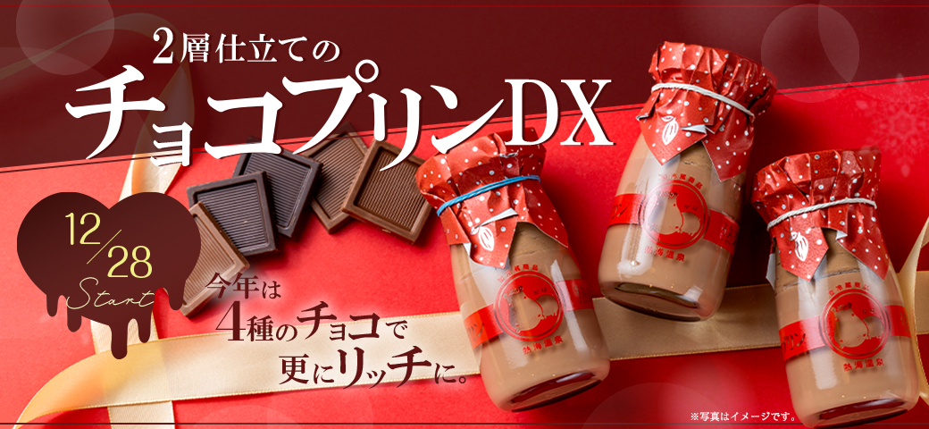 2層仕立てのチョコプリンDX